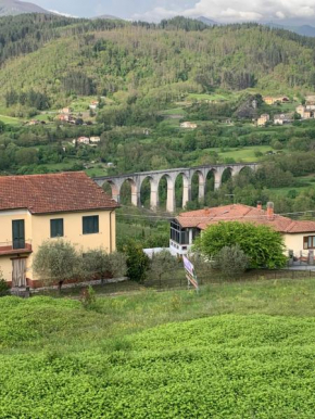 Birillina al Poggio, Camporgiano